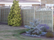 fence with trellis